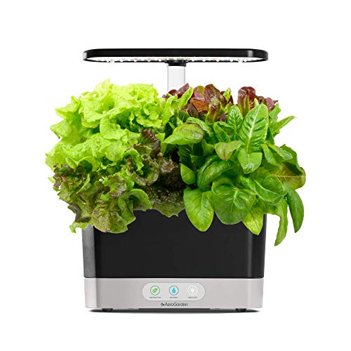 AeroGarden ???? - ?? ???? ??????? ?? ??? ????? (6 ?????...