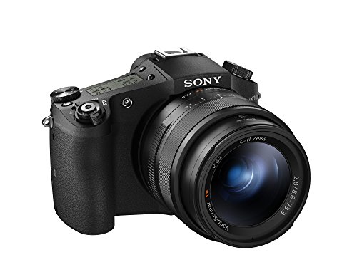 Sony ????? ????? ???????? DSC-RX10M II Cyber-shot