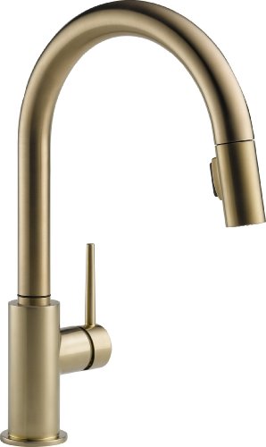 Delta Faucet 