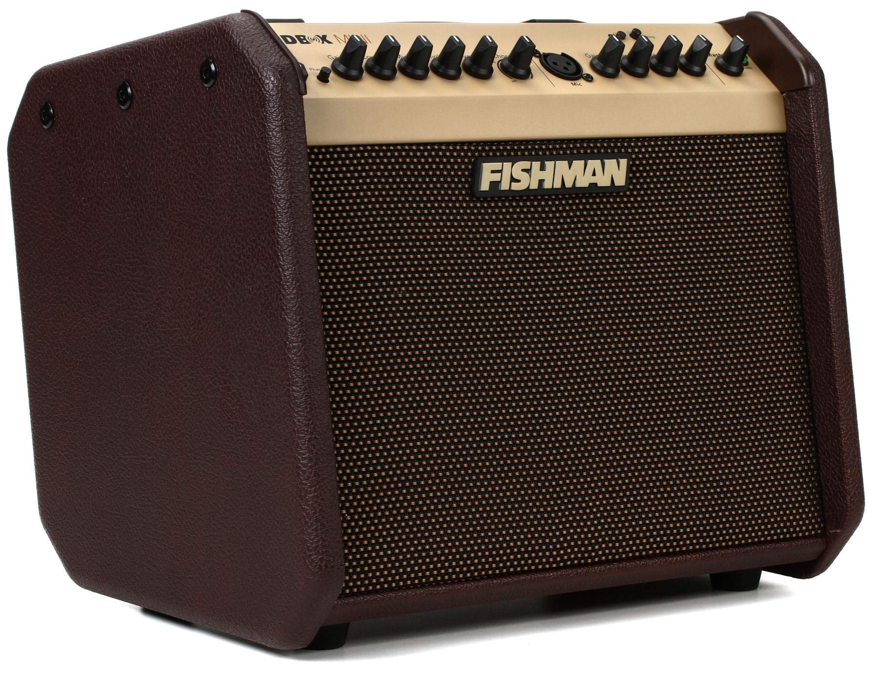 Fishman Loudbox Mini BT 60 ???? 1x6.5 ????' ????? ?????...