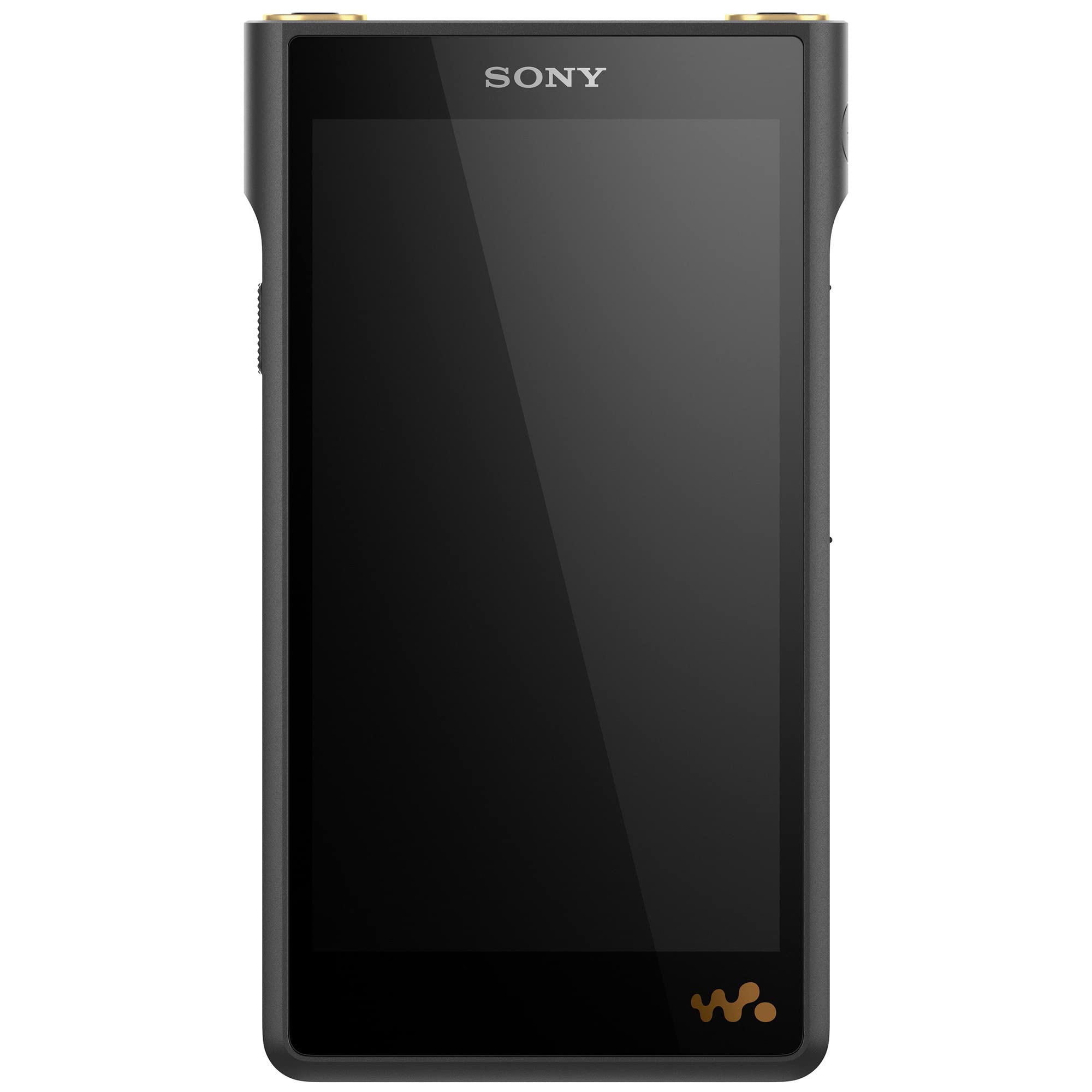 Sony NW-WM1AM2 Hi-Res 128GB ??? ?????? MP3 ??????? Walk...