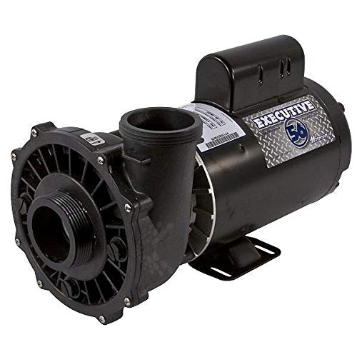 Waterway Plastics 4 Horsepower 230 Volts 2-Speed Waterw...