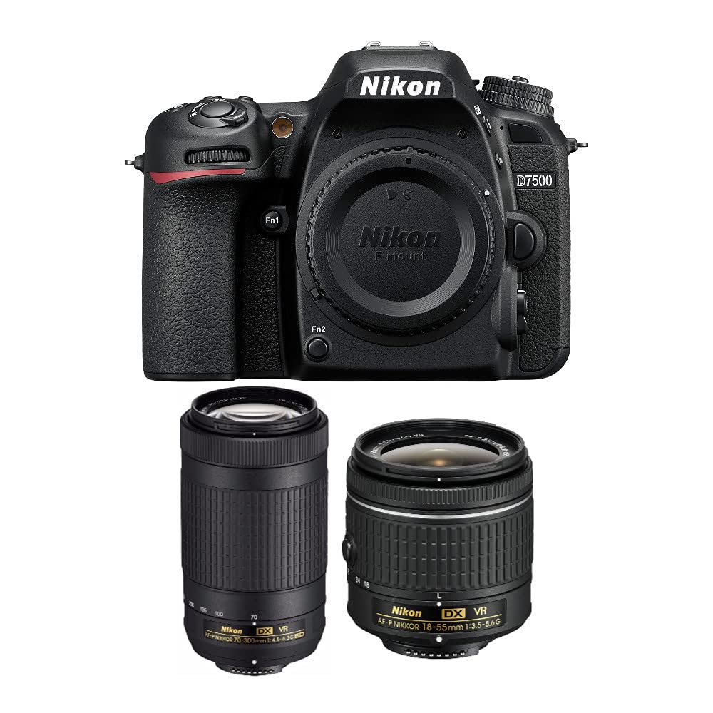 Nikon D7500 ?????? ??? ?????